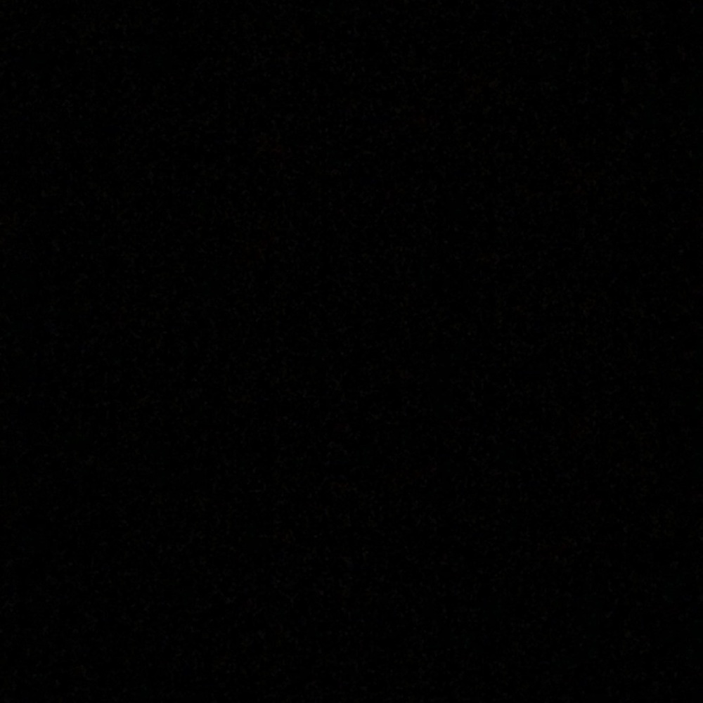 Meet your Posher, Izzy